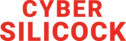 Cyber Silicock