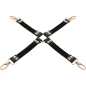 Preview: Fantasy Hog Tie Vegan Leather – Coquette Chic Desire