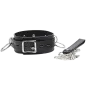 Preview: Black leather collar with metal buckle and chain, on a white background.