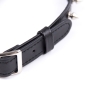 Preview: Halsband Spikes Punk Halsband | Ohmama
