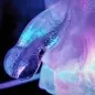 Preview: Play Wiv Me - Huge Penis Ice Luge Mold