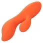 Preview: Stella Dual Teaser Orange – Calex