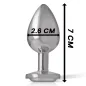 Preview: Aluminium Analstecker Mit Silbernem Glas S – Intense