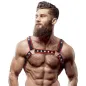 Preview: Bulldoggengeschirr Aus Öko Leder Schwarz / Rot – Fetish Submissive