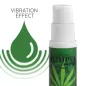 Preview: Vibrant Pleasure Extra Sativa Cannabis – Olimpya