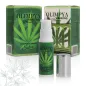 Preview: Vibrant Pleasure Extra Sativa Cannabis – Olimpya