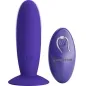 Preview: Purple vibrator with remote control, both with a smooth surface and silver accents.