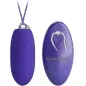 Preview: Purple vibrator with remote control, both with silver accents, on a white background.