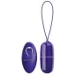 Preview: Purple remote-controlled vibrating egg with remote control, both with a smooth surface and silver accents.
