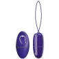 Preview: Lila Vibrator mit Fernbedienung, beide mit glatter Oberfläche und silbernen Akzenten, auf weißem Hintergrund.