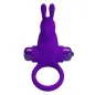 Preview: Purple vibrating ring with rabbit ear design, made of silicone, with CE marking.