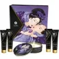 Preview: Set mit Shunga-Produkten, darunter Massageöl, Gleitmittel und Kerze, vor einer Verpackung mit japanischer Kunst.