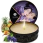 Preview: Geisha Secrets Exotische Früchte – Shunga