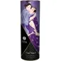 Preview: A Miscellany of Carnal Desires – Shunga