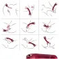 Preview: Prince Dildo Vibrator & Rotator Red | Armony