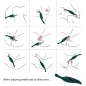 Preview: Stimulator & Vibrator Leaf Green | Armony