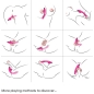 Preview: Klitorissauger Fuchsia | Armony