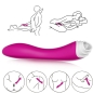 Preview: Fairyland ClitStimulator Und Vibrator Lila | Armony