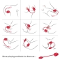 Preview: Rose Stimulator & Vibrator Red | Armony
