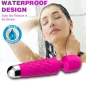 Preview: Postman Massager & Vibrator Fucsia  –  Armony
