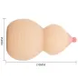 Preview: Calabash Breast Shaped Masturbator
