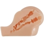Preview: Kylie Realistischer Vagina- Und Anusvibrator