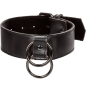 Preview: Euphoria Halsband Mit Kettenleine | Calex