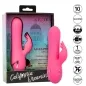 Preview: Pink vibrator toy in packaging with Capitol background, 10 functions, waterproof, rechargeable, silicone.