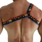 Preview: Römisches Geschirr Pride S/M – Macho