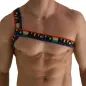 Preview: Oberkörper eines Mannes mit Regenbogenband mit "MACHO"-Aufschrift über der Brust.