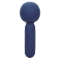 Preview: CALEXOTICS - CHARISMA SEDUCTION MASSAGER 12 FUNKTIONEN 17,75 CM X 6,25 CM LILA