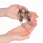 Preview: Japanese cloverleaf nipple clamps with small silver chains – Kink