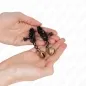 Preview: Bell Jaw Style Nipple Clamps Black 7cm – Kink