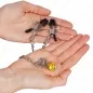 Preview: Chain Nipple Clamps with Horn Pendant 30cm – Kink