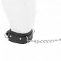 Preview: Halskette Mit Leine 65cm 3 Ring Modell 1 – Kink