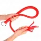 Preview: Schlangenpeitsche Mit Rotem Handring 65cm – Kink