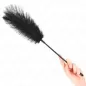 Preview: Ostrich feathers for tickling 19cm – Kink