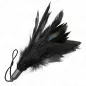 Preview: Tickle Feathers Mit Seilgriff Kunststoffbasis 15cm – Kink