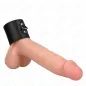 Preview: Ein Dildo mit einem schwarzen Lederband um die Basis, vor weißem Hintergrund.