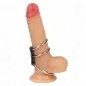 Preview: A dildo with a suction cup and three metal rings around the shaft.