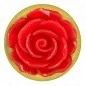 Preview: Plug Anal Gold Rose Rot M – Kink