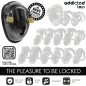 Preview: Keyless Penis Cage 11.5cm – Addicted Toys Locked
