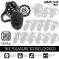 Preview: ADDICTED TOYS LOCKED - ANGEKETTETER HOHLPENISKÄFIG 10,5 CM