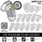 Preview: Iron Cell Metall-Peniskäfig M – Addicted Toys Locked