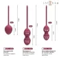 Preview: Charli Kegel Ball Kit Burgund – Intense