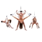 Preview: Bondage Swing | Fetish Fantasy