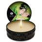 Preview: SHUNGA -  MINI CARESS BY CANDLELIGHT DISPLAY MASSAGEKERZEN 24 EINHEITEN