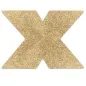 Preview: Pezoneras Flash Cruz Gold – Bijoux