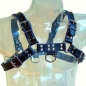 Preview: Brustharness Schwarz / Blau Leder | Leatherbody