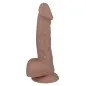 Preview: 16 Realistic Penis 19.6 X 3.2cm – Mr Intense
